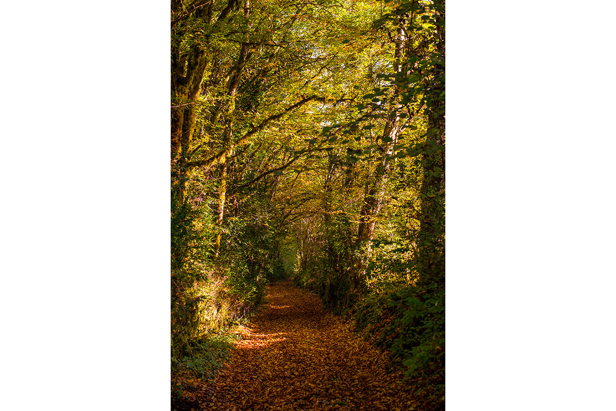 ©Patricia Coignard Haut-Jura Saint-Claude - Chemin en poésie accueillant les Pérégrinations poétiques