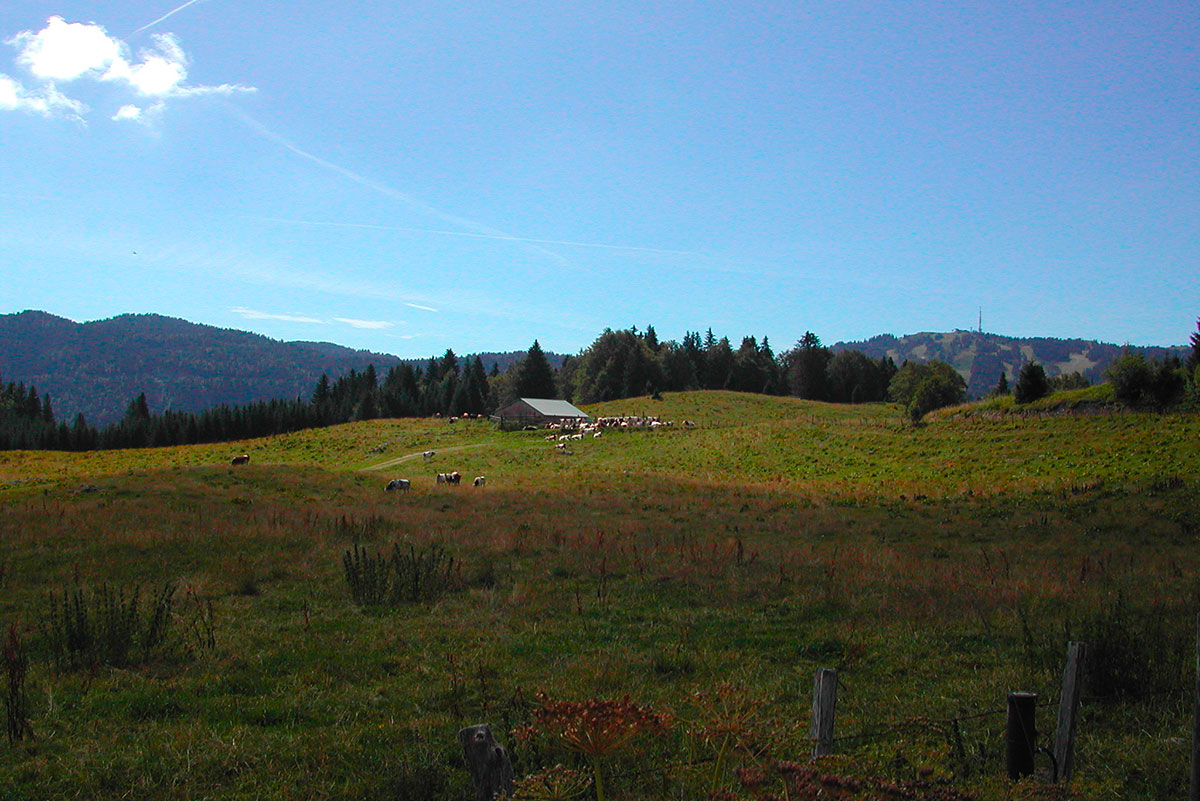 © Jean Noel Coste Haut-Jura Saint-Claude - Chalet d'alpage de la Regarde accueillant les Pérégrinations poétiques 2016 face à la haute-chaîne du Jura (La Faucille en vis à vis)