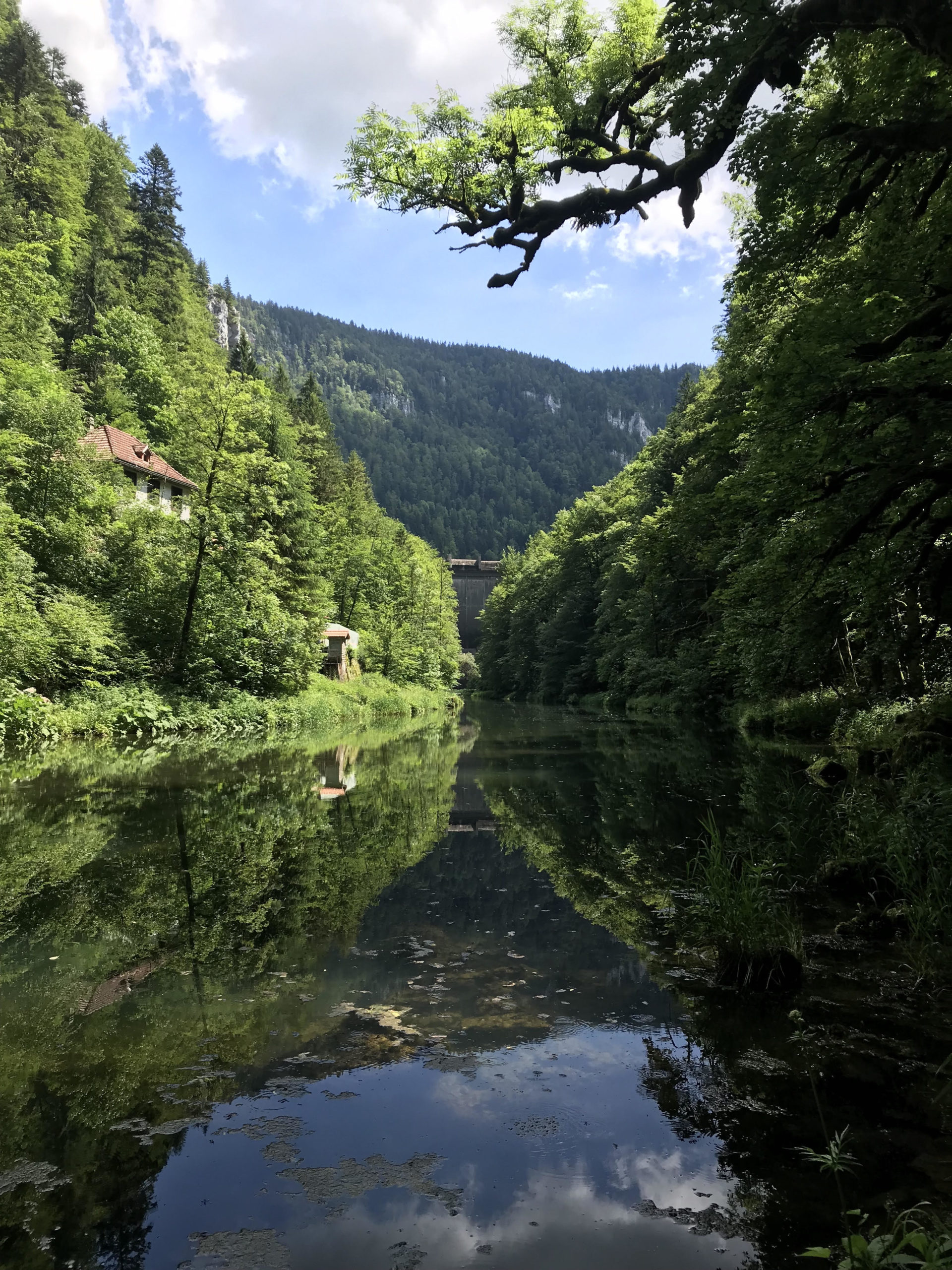 Le Doubs en aval du Barrage du Châtelot. © M.Schiess