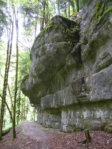 Le-Doubs-entre-Les-Brenets-et-Maison-Monsieur_4